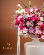 Radiant Romance - Image 4