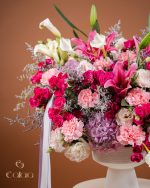 Radiant Romance - Image 3