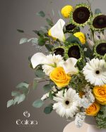 Day Light Noir - Image 2