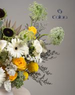 Day Light Noir - Image 3