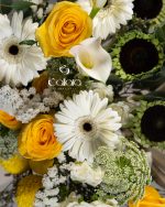 Day Light Noir - Image 4