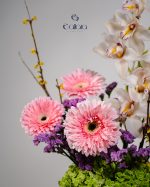 Orchid Muse - Image 2