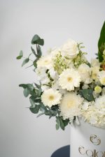 Ivory Serenity - Image 3