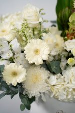 Ivory Serenity - Image 4