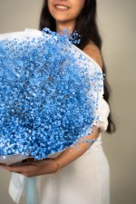 Gypsophilla  Blue - Image 3