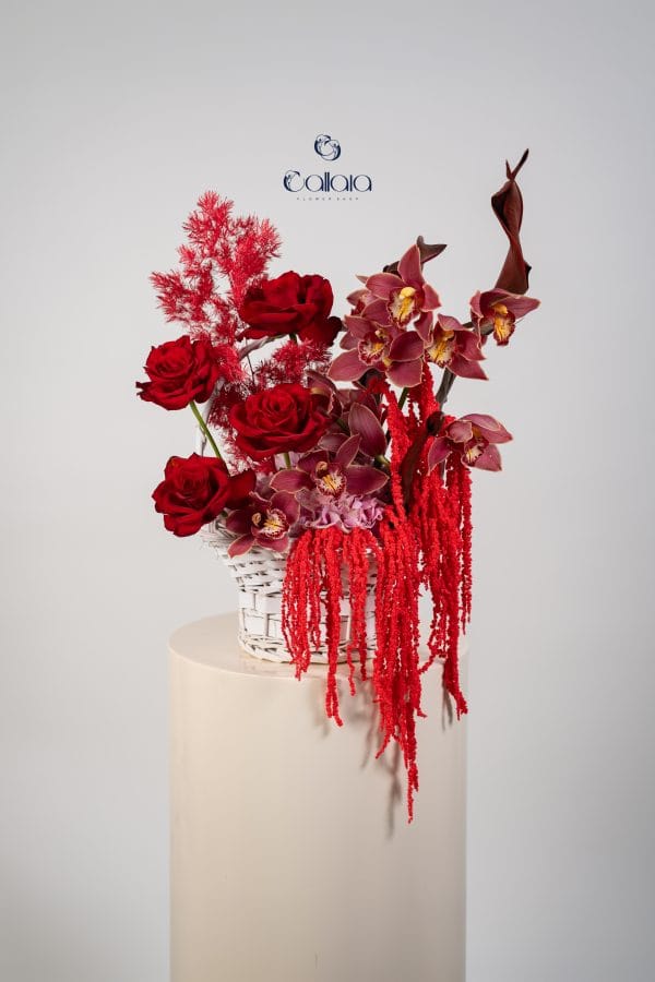 Orchidee Rouge