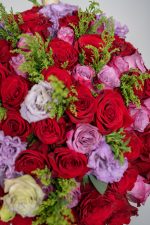 Fushion Gaze - Image 4