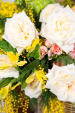 Autumn Sunshine - Image 4