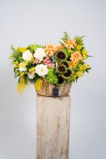 Autumn Sunshine - Image 5