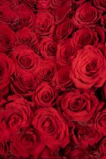 3D Heart Affection - Image 4