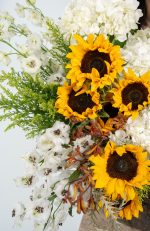 Harvest Glow - Image 4