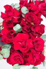 Crimson Harmony - Image 4