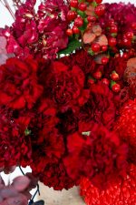 Everlasting Passion - Image 4