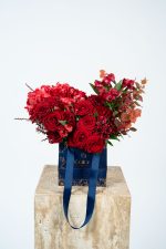 Scarlet  Crush - Image 5