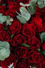 Scarlet Embrace - Image 5