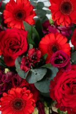 Passion Punch - Image 4