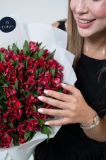 Alstroemeria Elegance - Image 3