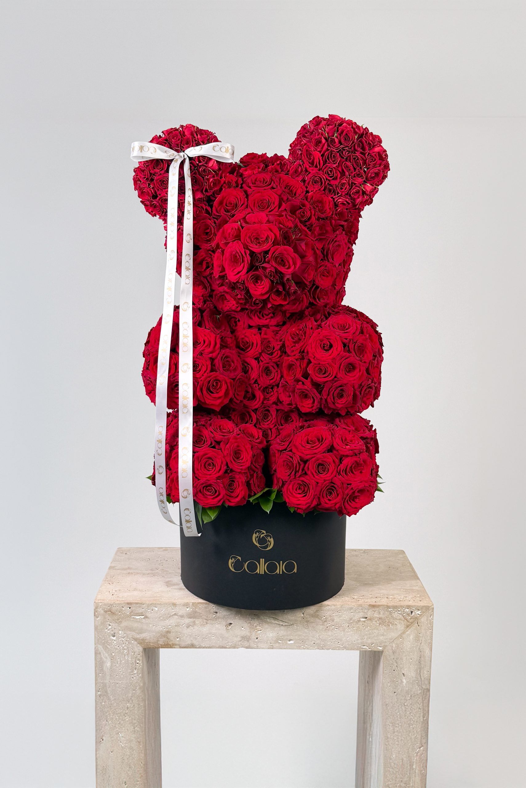 DSC08817 The love Bear - Image 1