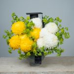 Lemon Meringue Graduation Arrangement