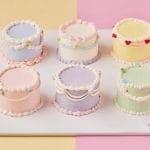 Pastel Mini Cake Set