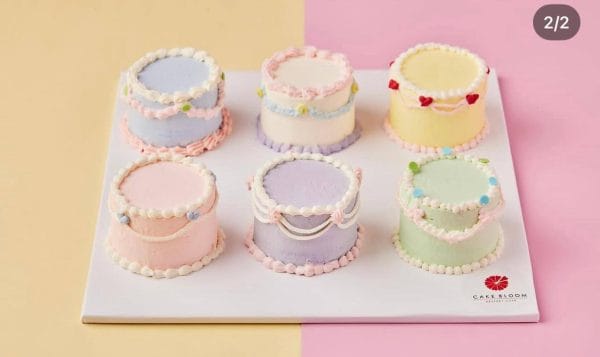 Pastel Mini Cake Set